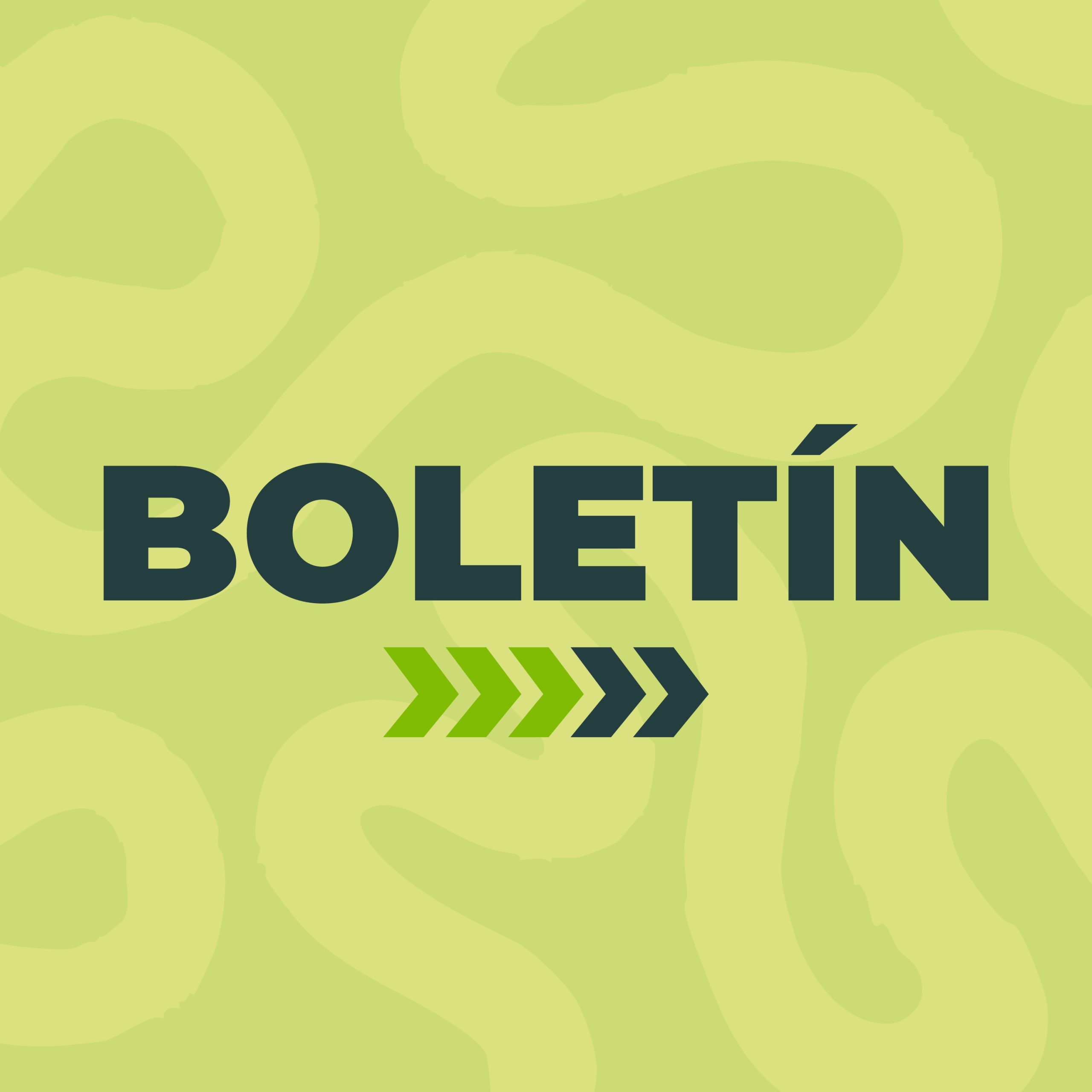 Boletin redes-01