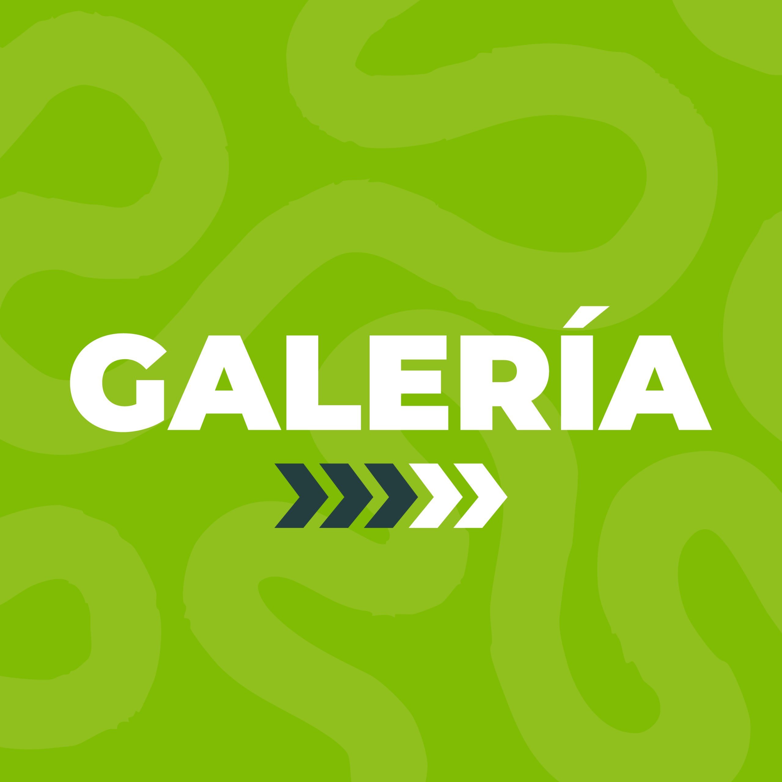 Boletin redes-02